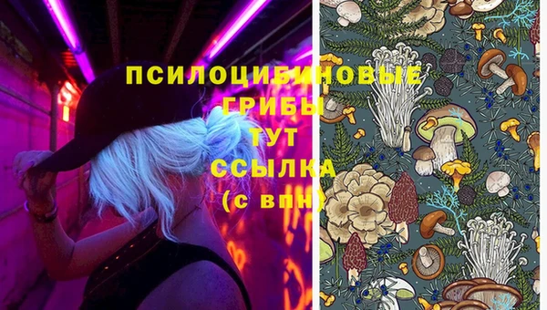 ECSTASY Заводоуковск