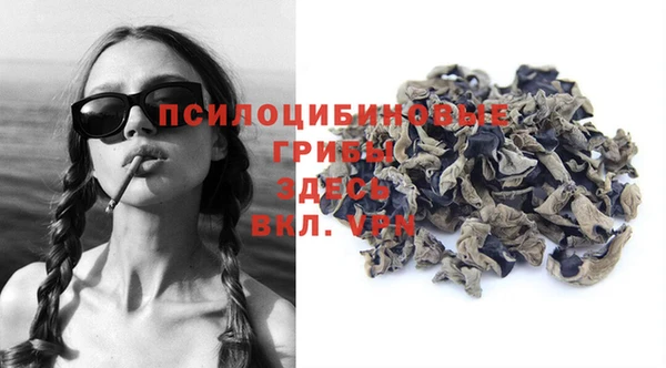 ECSTASY Заводоуковск