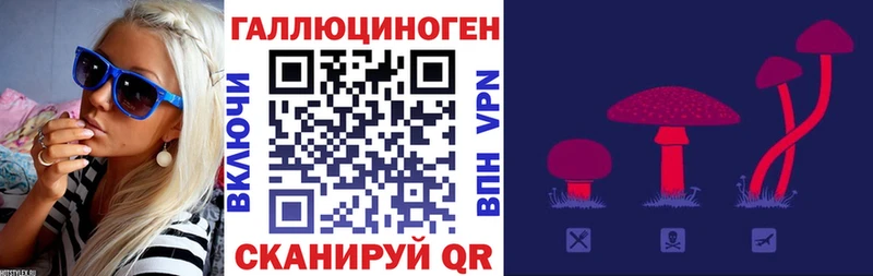 Галлюциногенные грибы Psilocybe Карпинск
